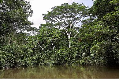 《巴比伦的陨落》不会停止开发 第2和第3赛季已在开发中